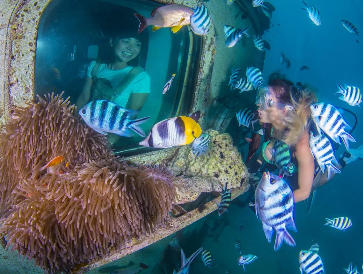 Fish Eye Marine Park 5
