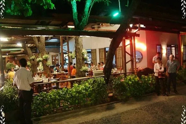 Golden Cowrie (Salinas Drive) 4