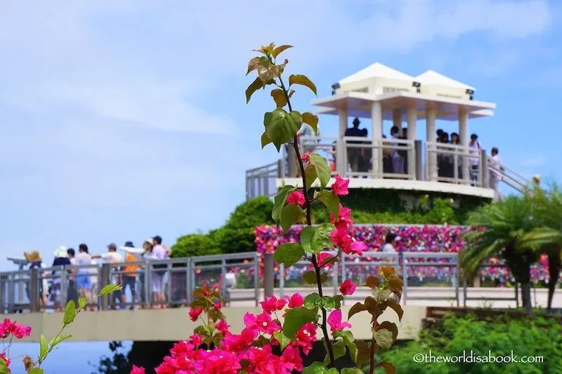 Two Lovers Point 4