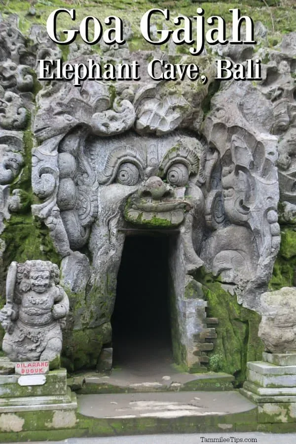 Goa Gajah - Tours & Activities - Gianyar