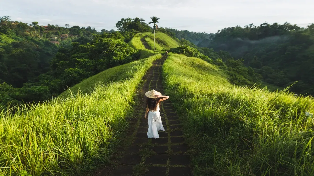 Campuhan Ridge Walk 2