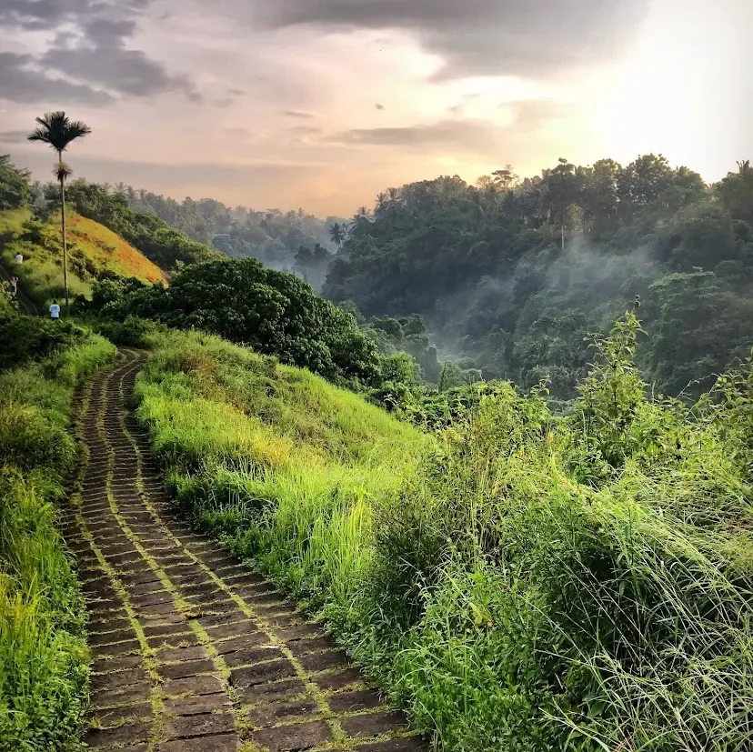 Campuhan Ridge Walk 4