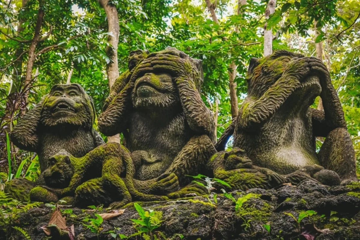 Sacred Monkey Forest Sanctuary 4