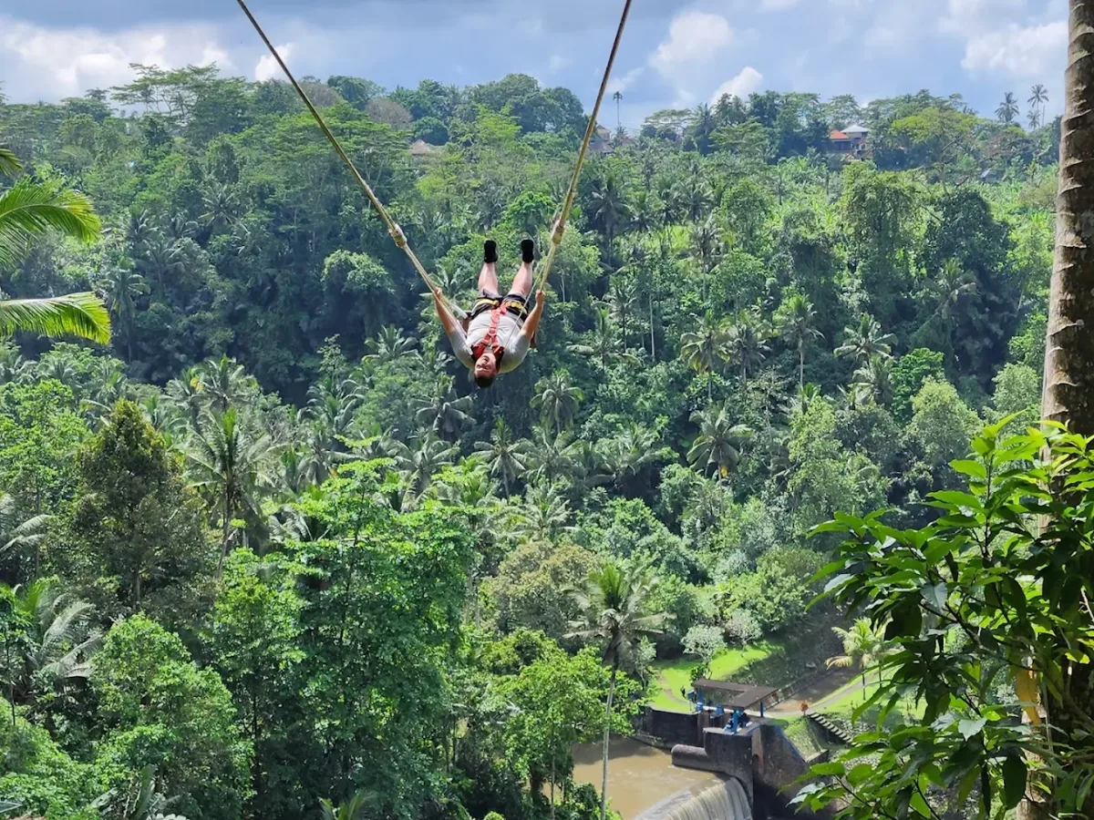 Bali Swing 4