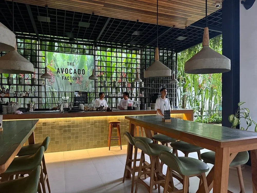 The Avocado Factory 4