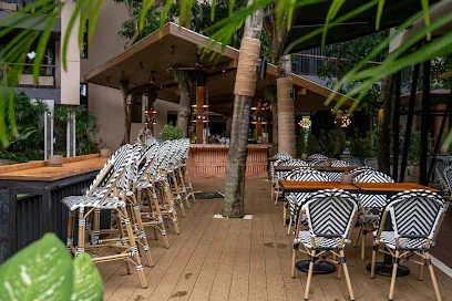 Canopy Tree Bar - Bars & Clubs - Karon