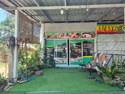 The Best Massage - Spas & Wellness - Saladan