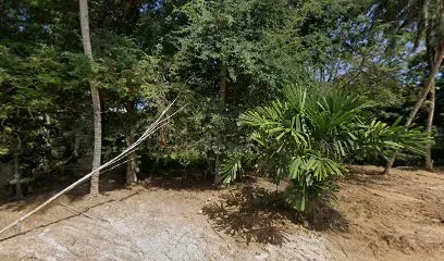 Homestay Kampung Sungai Itau
