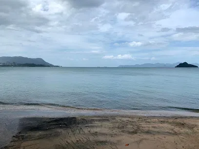 Pantai Pasir Hitam (Black Sand Beach)