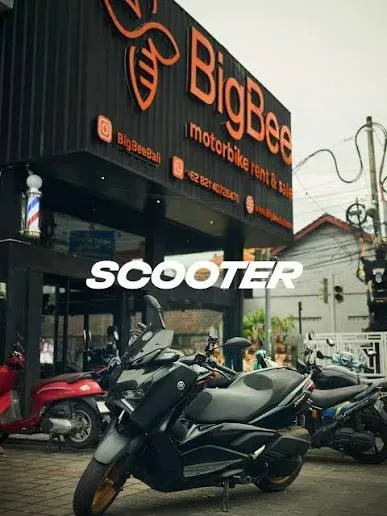 BigBeeBali - scooter rental Seminyak - Car Rentals - Seminyak