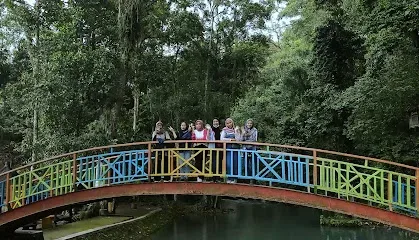 Wisata Alam Desa Sesaot
