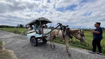 DWH (Tourism Village Green) BILEBANTE