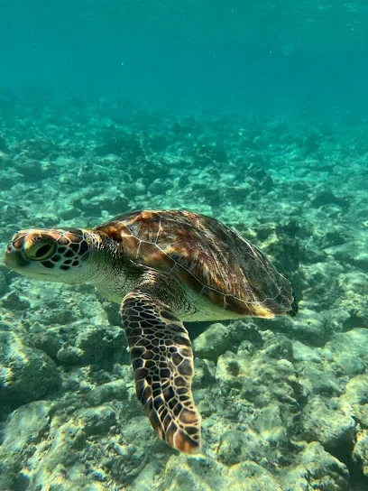 Gili Air