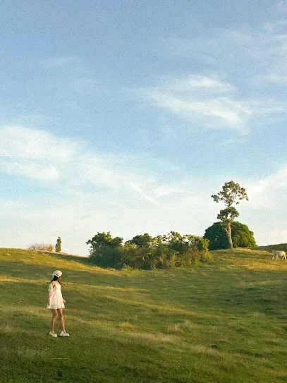 Verdemar Golf Course