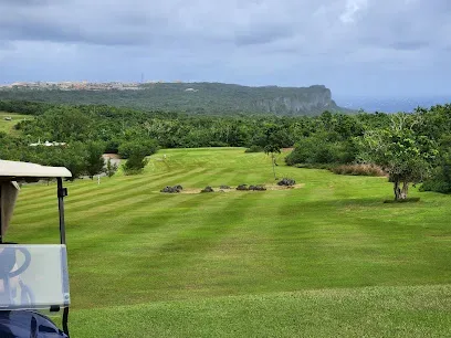 Palm Tree Golf Course