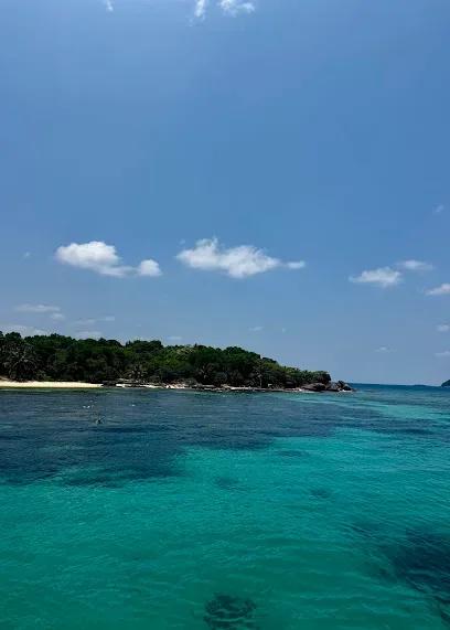 RED RIVER TOURS - Tours & Activities - Duong To