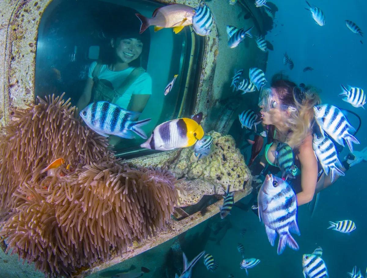 Fish Eye Marine Park 5