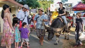 Chamorro Village 4