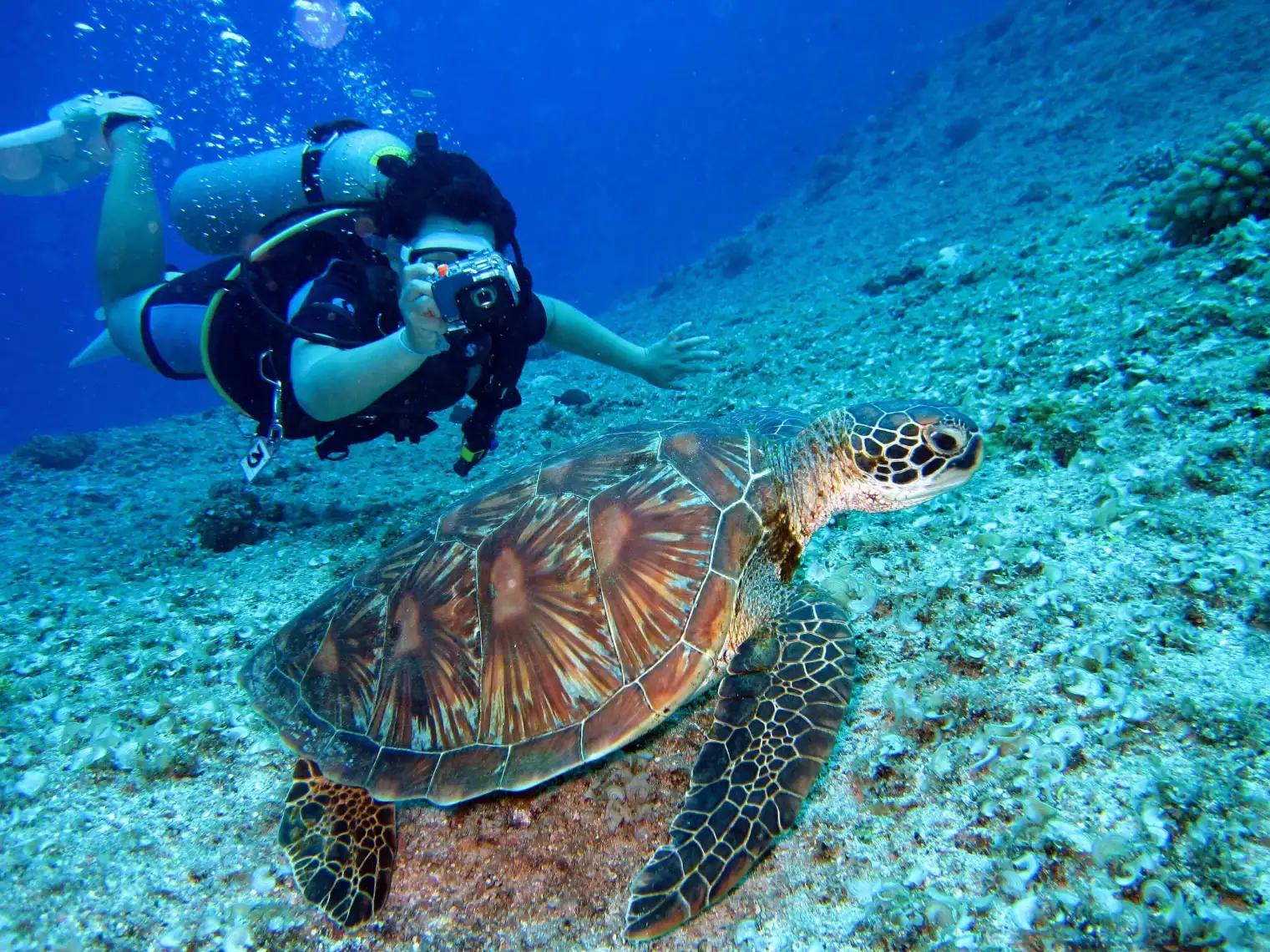 Guam Ocean Adventures - Tours & Activities - Piti