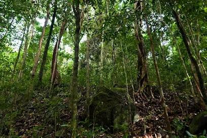 Phu Quoc National Park