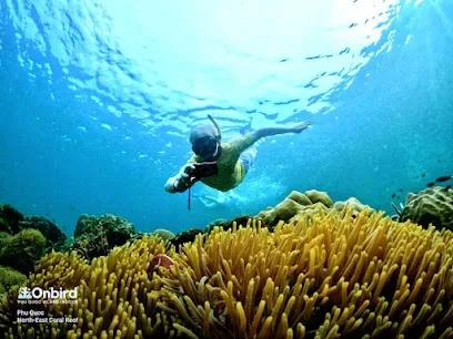 Onbird Phu Quoc - Tours & Activities - Cửa Lấp