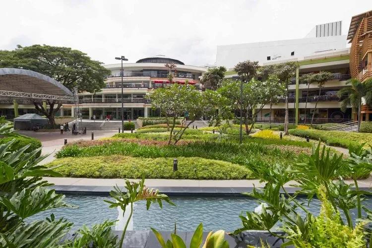 Ayala Terraces 2