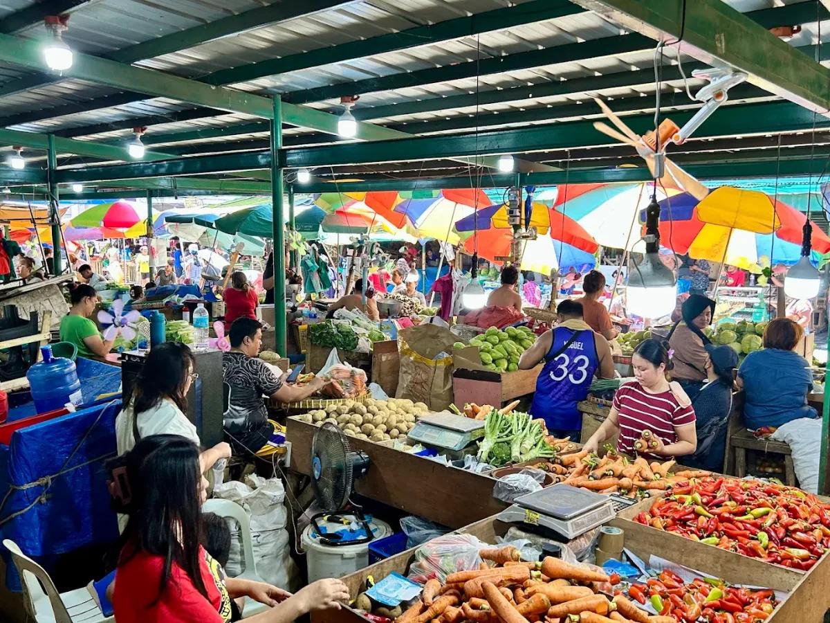 Carbon Market 5