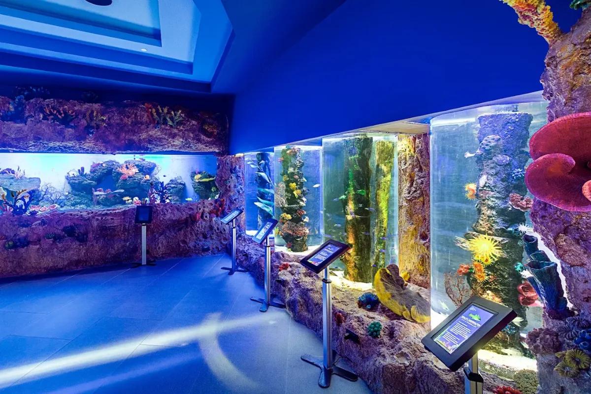 Cebu Ocean Park 5