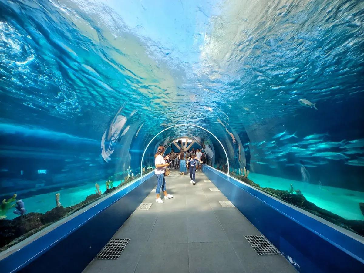 Cebu Ocean Park - Tours & Activities - Cebu City