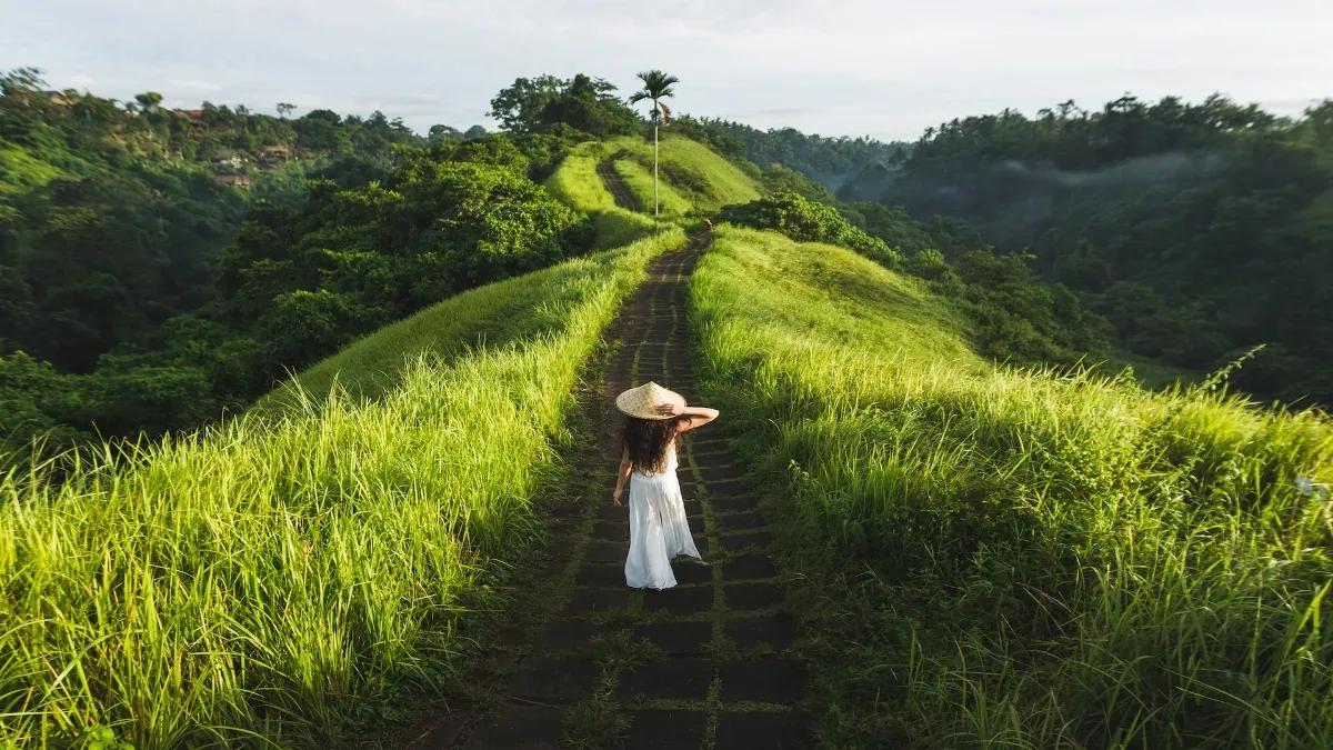 Campuhan Ridge Walk 2