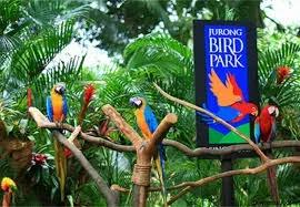 Bali Bird Park - Tours & Activities - Gianyar