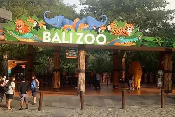 Bali Zoo 3