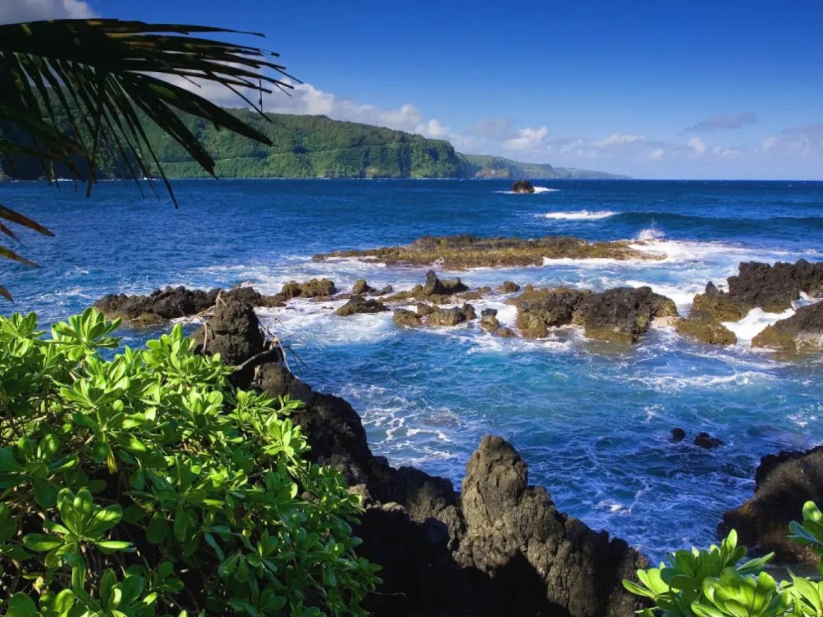West Bali National Park - Tours & Activities - Buleleng