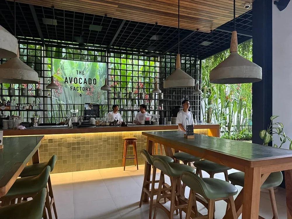 The Avocado Factory 4