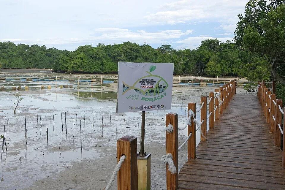 Lugutan Mangrove Park - Tours & Activities - Malay