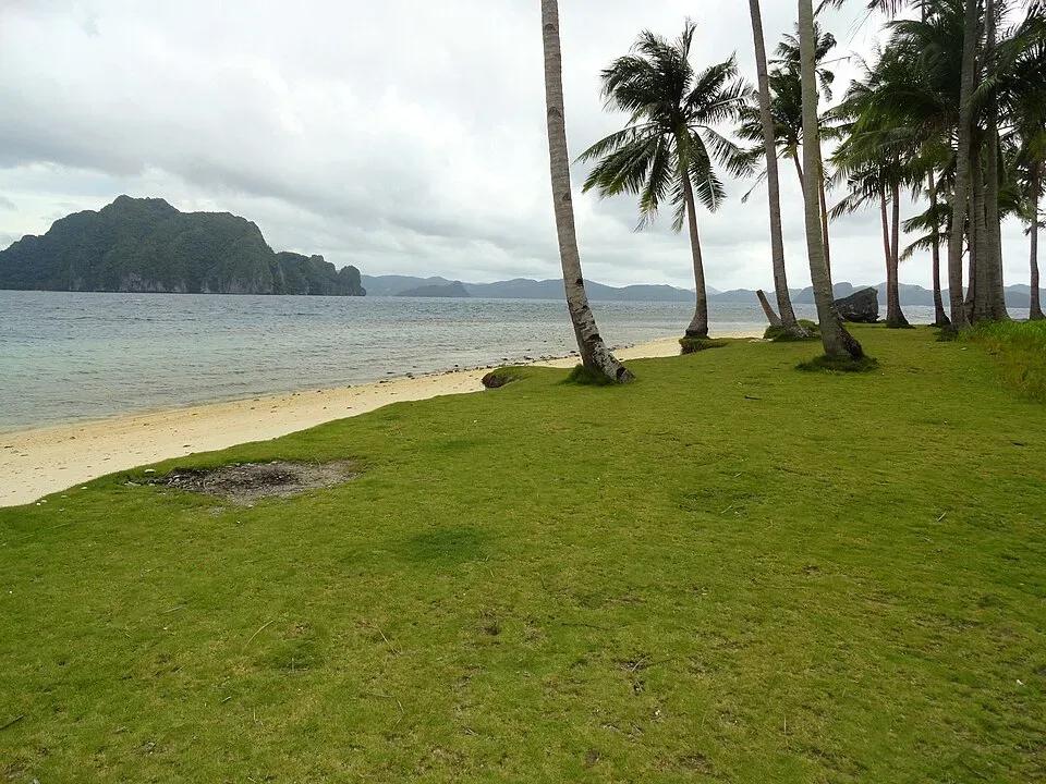 Pinagbuyutan Island Beach 4