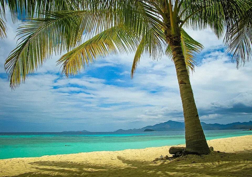 Malcapuya Beach - Beaches - Culion
