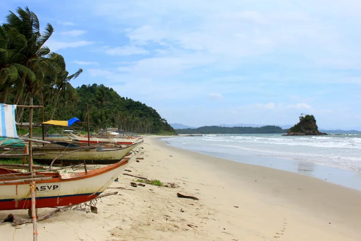 Alimanguan Beach - Beaches - San Vicente
