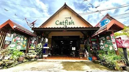 Catfish