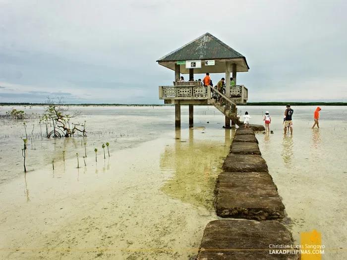 Olango Island Wildlife Sanctuary - Tours & Activities - Lapu-Lapu City