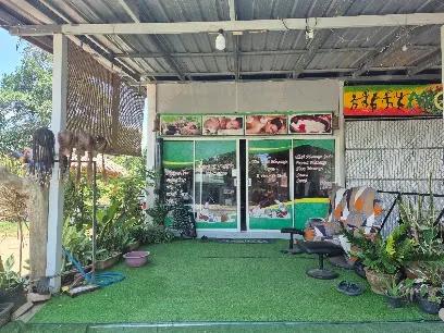 The Best Massage - Spas & Wellness - Saladan