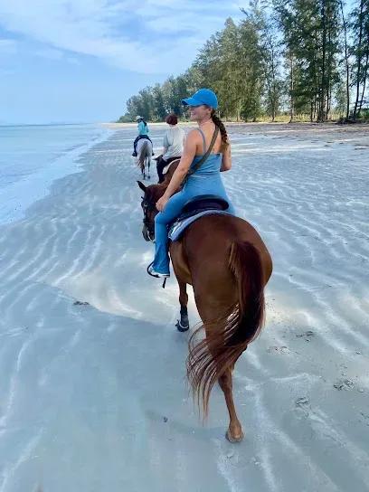 Pirates Bar horse riding - Tours & Activities - Saladan