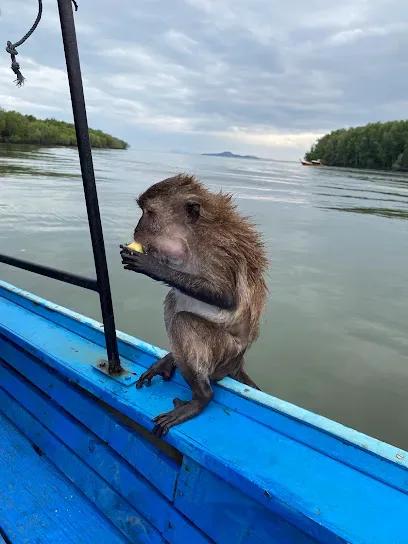 Monkeypoint