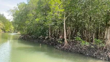 Thung Yee Peng Pier - Tours & Activities - Saladan