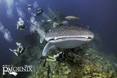 Phoenix Divers - Koh Lanta Diving, Freediving, Snorkeling - Tours & Activities - Saladan