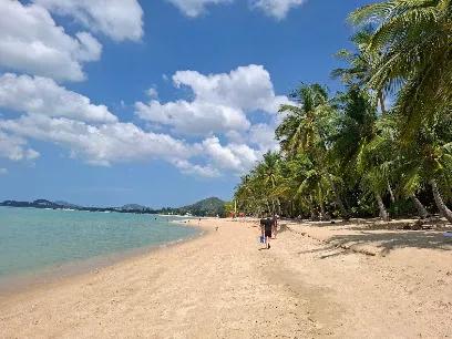 Maenam Beach - Beaches - Maenam
