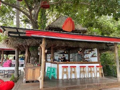 The Jungle Club