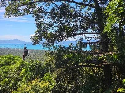 Tree Bridge Zipline Samui