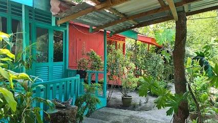 Gecko Guesthouse
