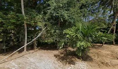 Homestay Kampung Sungai Itau